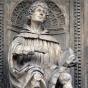 Pliny the elder