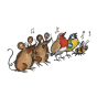 PLP & Minimus